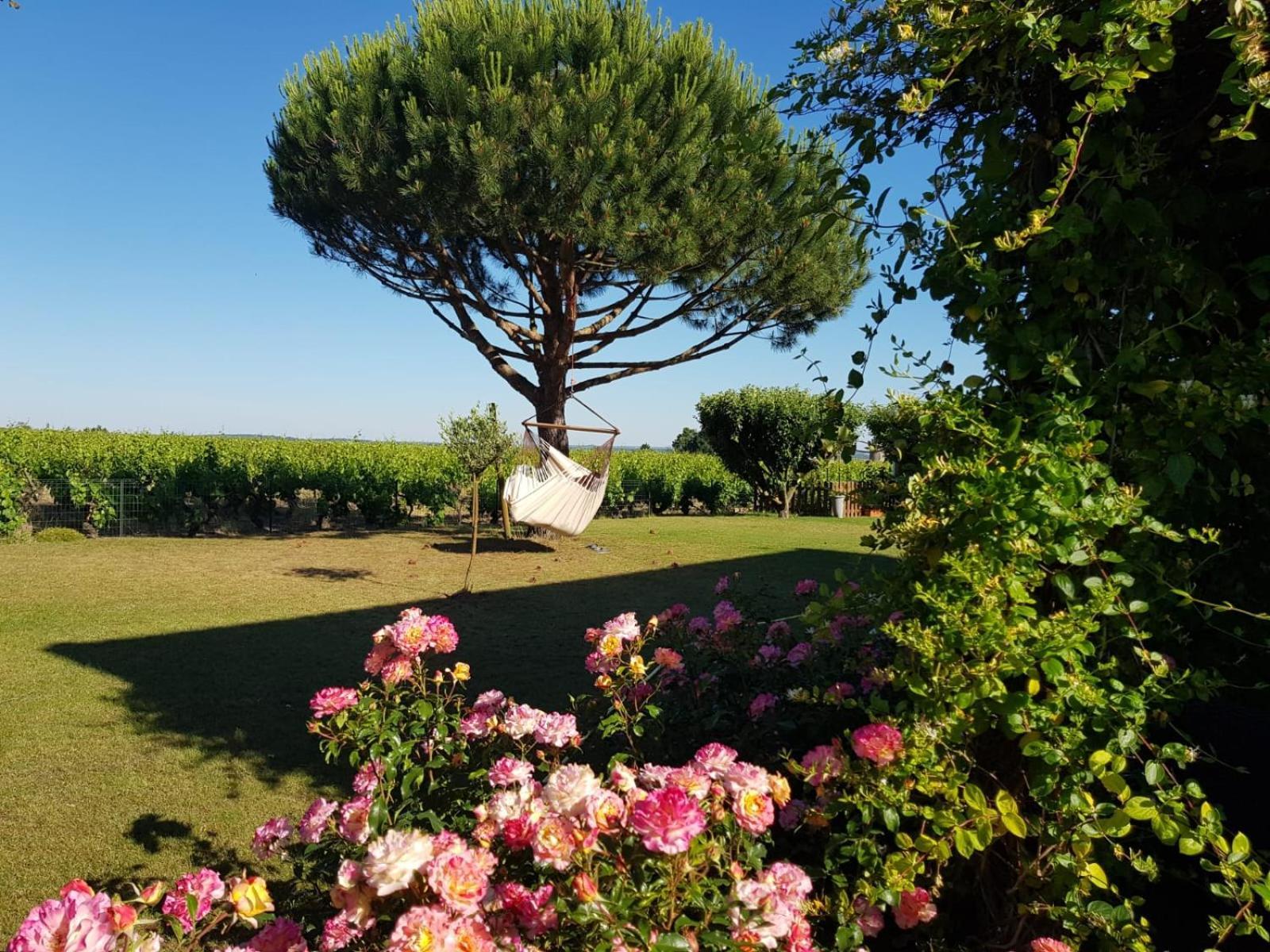 Bed and Breakfast Entre Loire Et Vignobles Lire Экстерьер фото